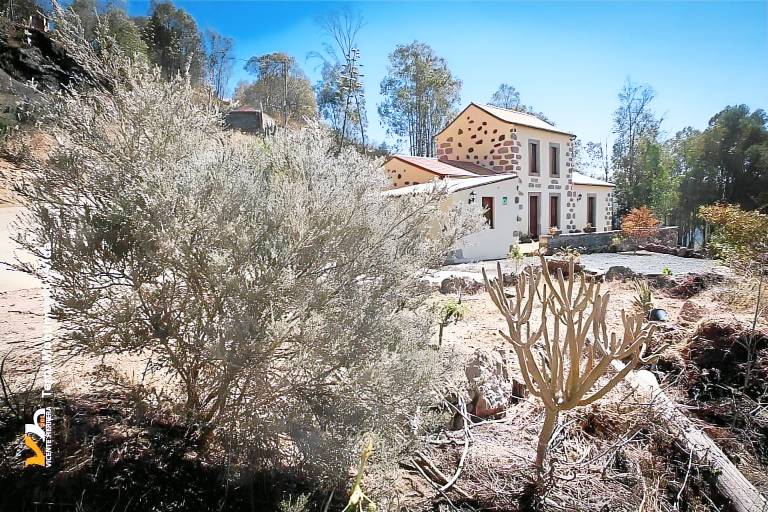 Nice house | Dogs allowed in Las Palmas de Gran Canaria
