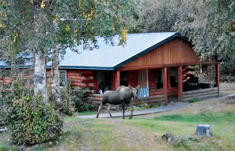 Cabin  Kenai