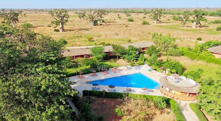 Baobab Soleil — photo 3