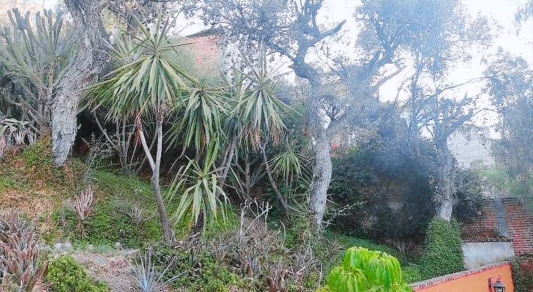 Lovely vacation home with garden | Pet-friendly — photo 3