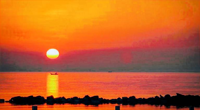 Serviced apartment with BBQ & yard | Next to the beach | Dogs allowed — photo 4