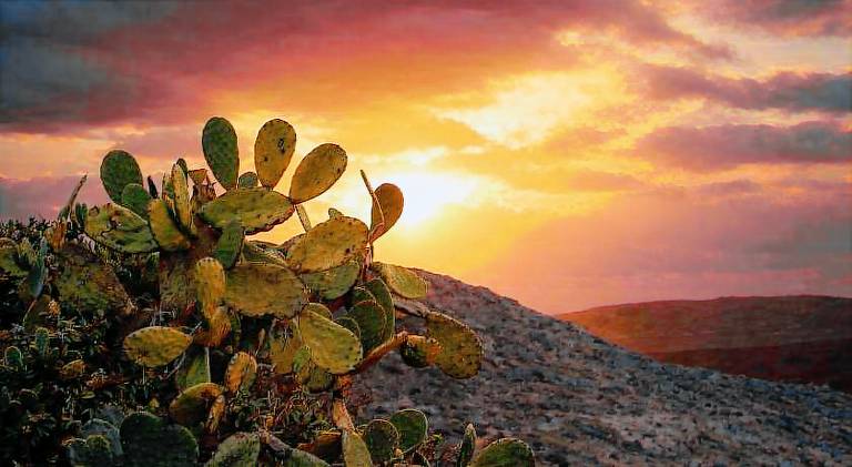 Prickly Pear House in Milos