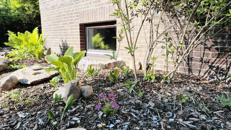Child-friendly holiday apartment | Pets allowed — photo 4