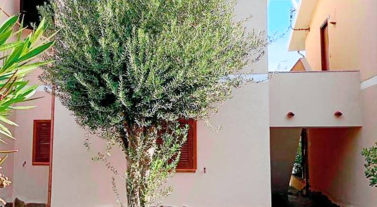 La Casa delle Meraviglie - Cannigione - Beachfront — photo 4