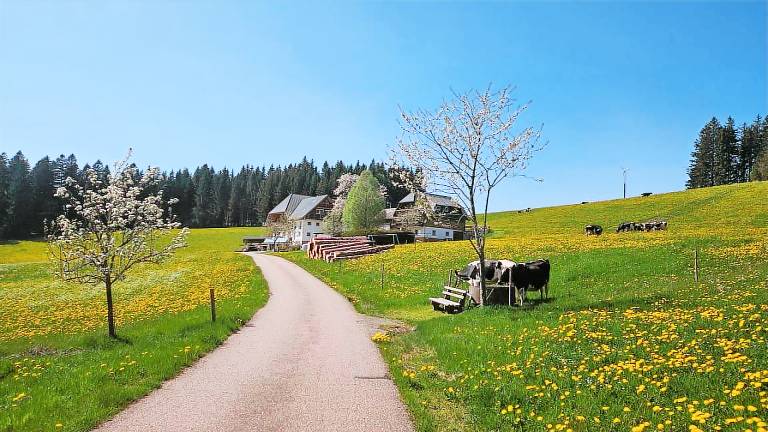 Ferienwohnung mit Hund in Titisee-Neustadt für max. 2 Personen