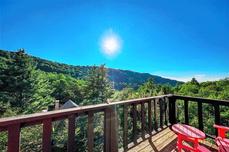 Condo Beech Mountain