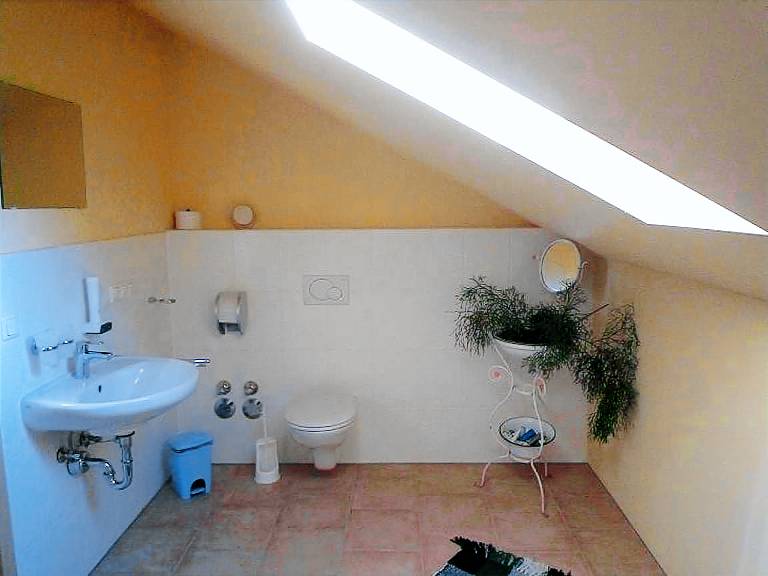 foto2