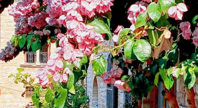 House with 1 room for 3 persons in Assisi