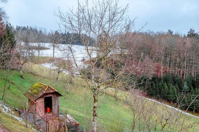 Ferienwohnung Oberwolfach