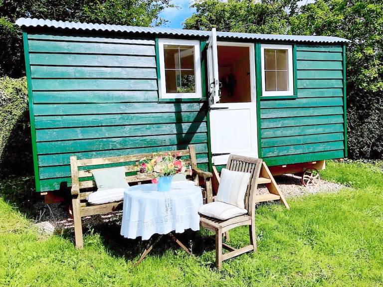 Cabin Chard