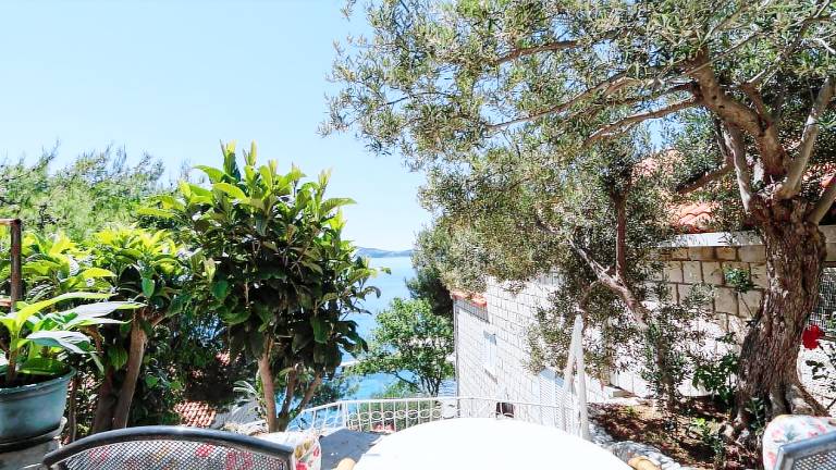 Apartman Čibača
