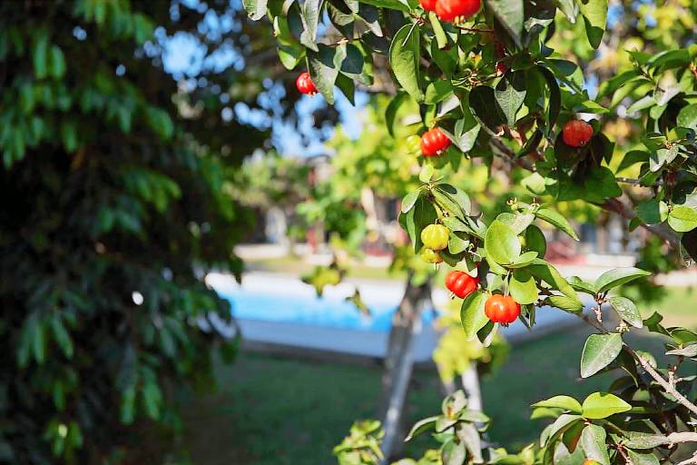 Lovely villa with patio, fast internet & private pool | Garden view | Next to the beach | Dogs allowed — photo 2