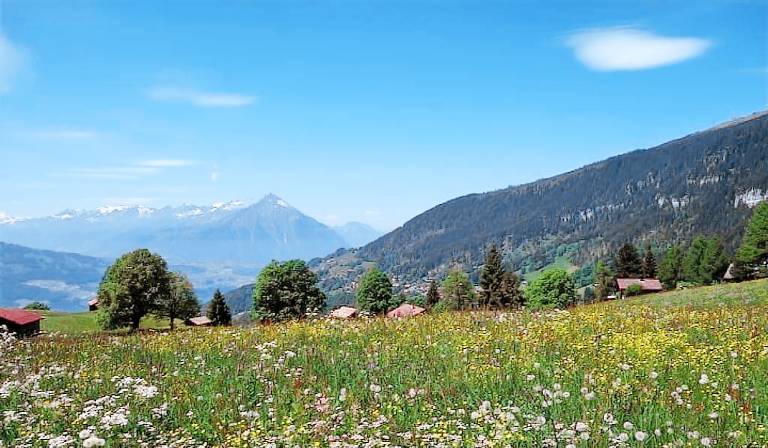 Apartment Interlaken
