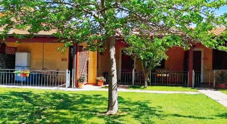 Farm with yard, barbecue & patio in Piombino