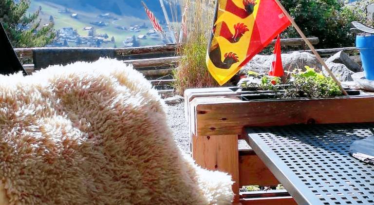 Apartment | Next to the ski | Pets allowed in Adelboden