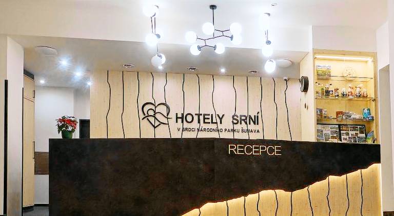 Hotel Srni — photo 4