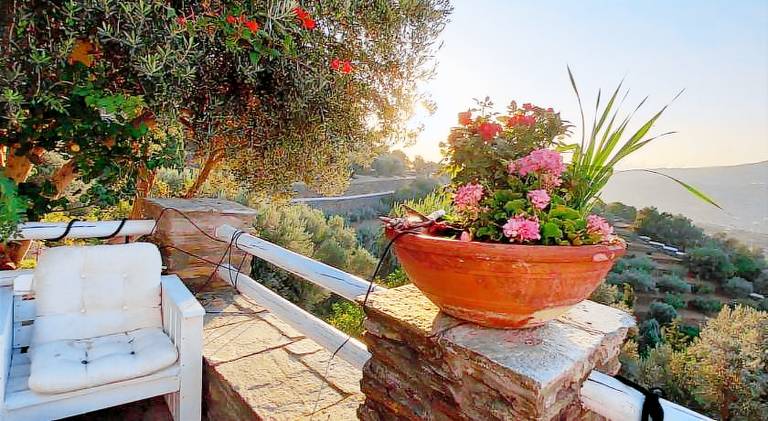 Lovely apartment with terrace & garden | Dogs allowed — photo 4