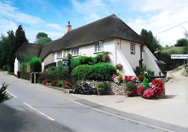 Holiday Cottages Devon - Beaches-AONB-dog friendly in Sidmouth