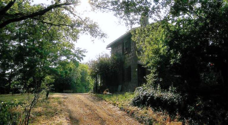 Farm with garden | Pets allowed — photo 4