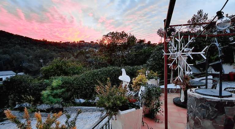 Au Jardin d'Armand — photo 3