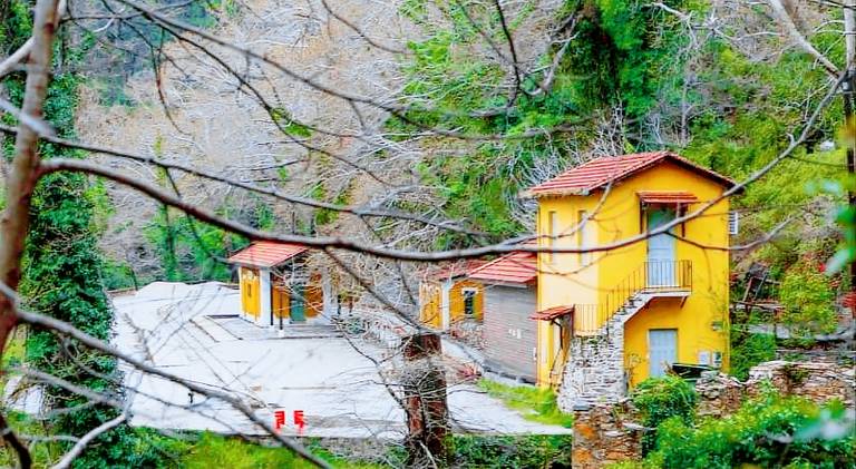 Beautiful villa with barbeque, patio & garden | Pets are welcome — photo 5