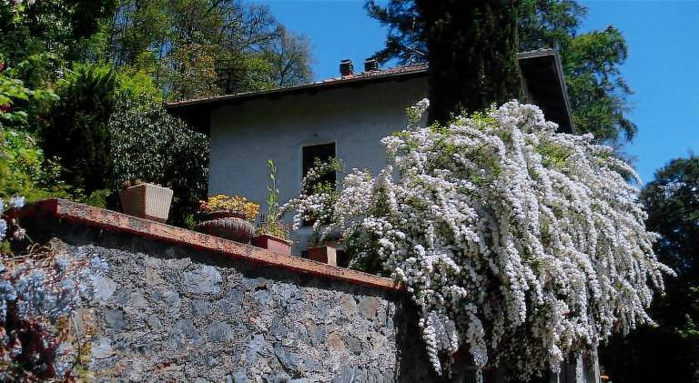 Ai 4 Gatti B&B in Biella