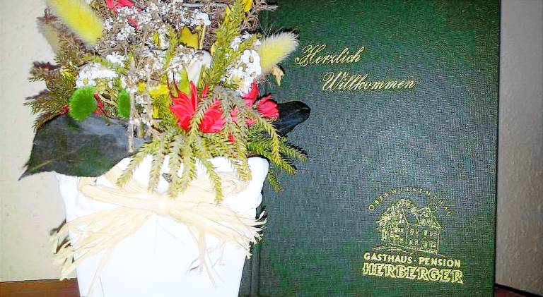 Gasthaus-Pension Herberger — photo 5