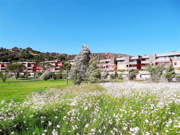 Appartement Agay
