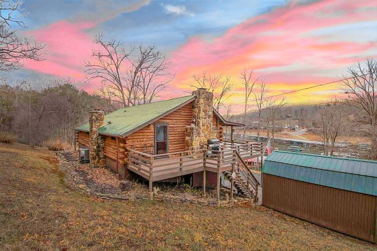 Cabin Speedwell