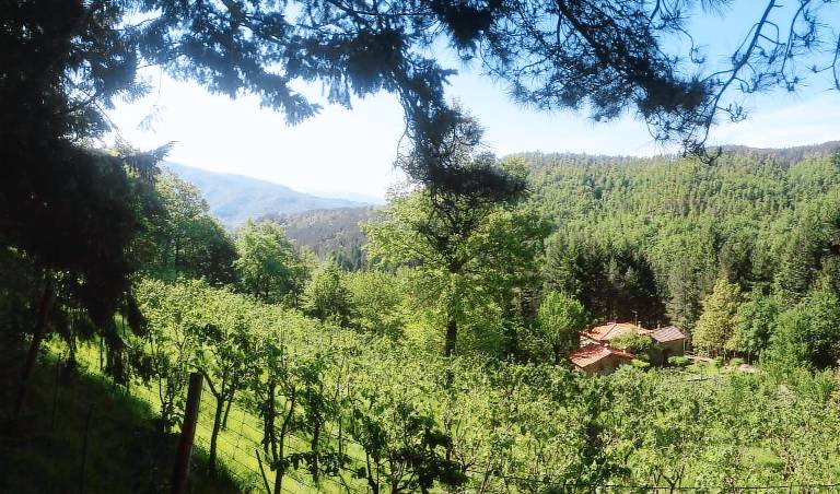 Camera privata Bibbiena