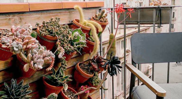 Tetti & Chiese - Authentic Sicilian Rooftop — photo 5