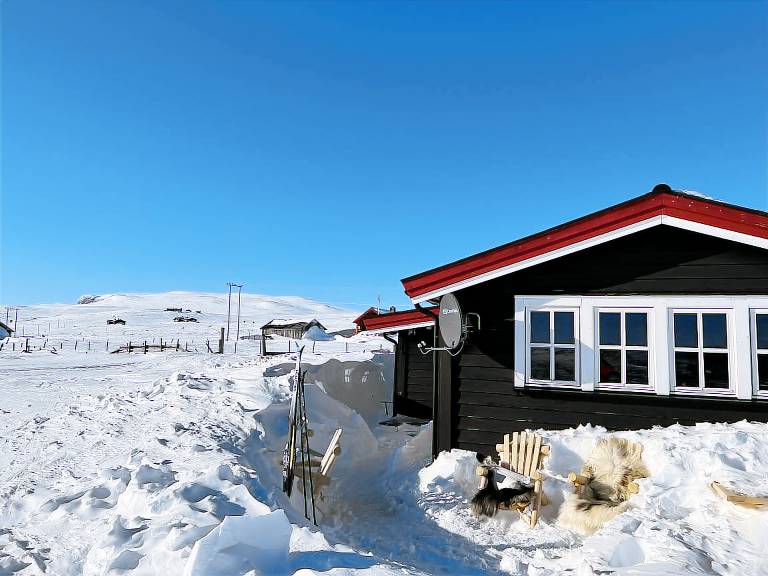 Hytte Geilo