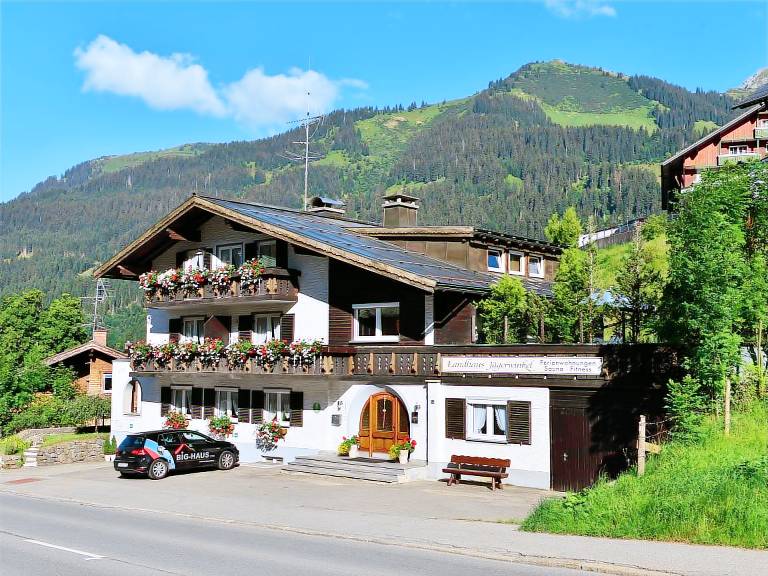 Ferienwohnung Hirschegg
