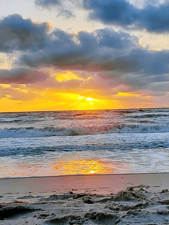 Condo  South Naples
