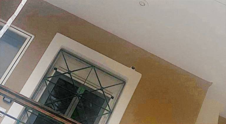Apartment with patio | Close to the beach | Pets allowed — photo 5