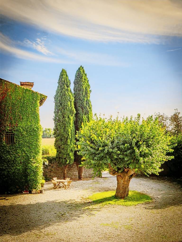 Family-friendly lovely vacation home with patio, yard & grill | Good for workation | Pets allowed in Udine