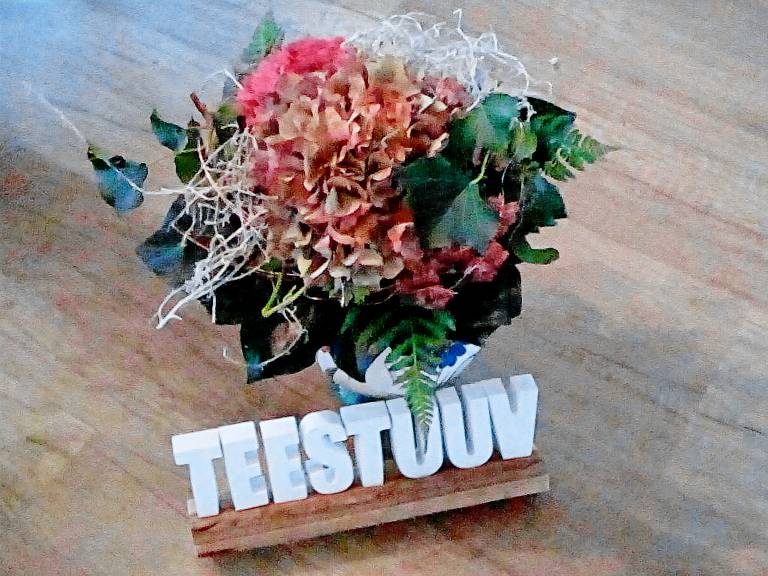 Ferienwohnung TEESTUUV