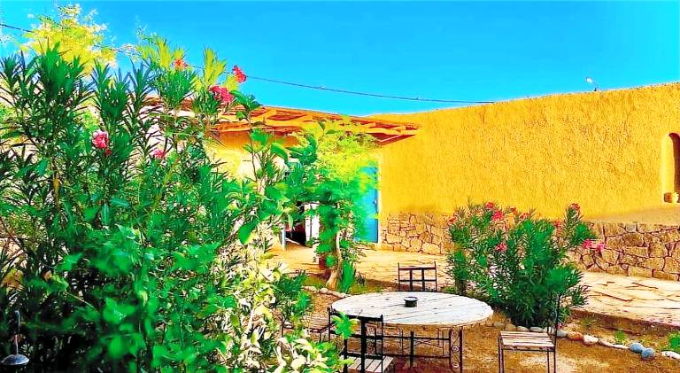 Dar Oasis Moringa — photo 3
