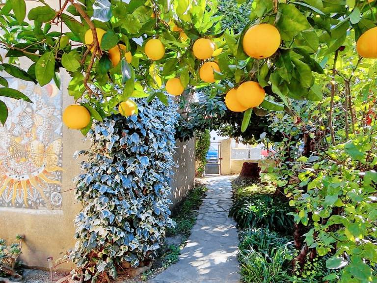 Vacation home with yard — photo 3