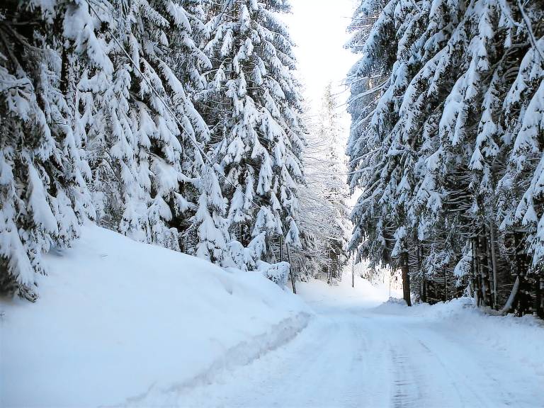 Chalet Fresach