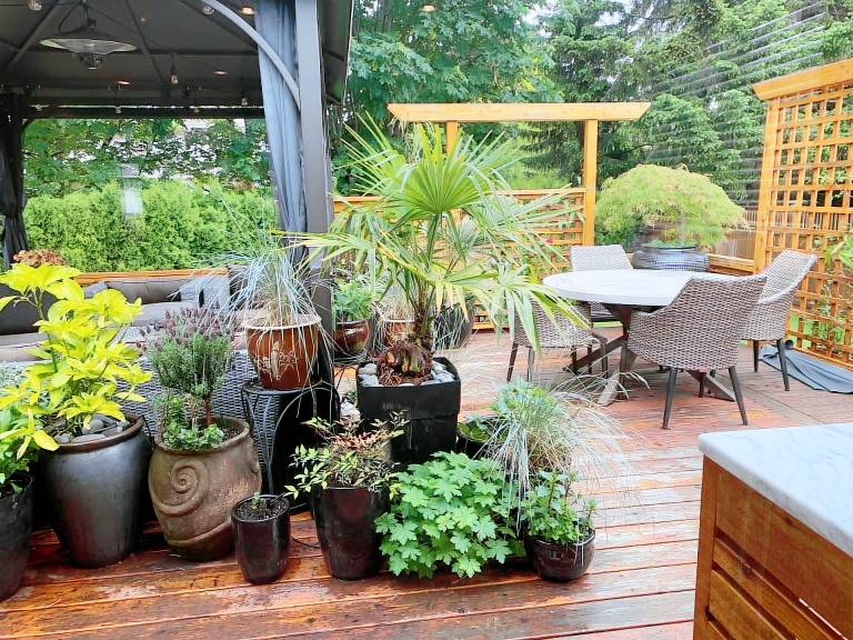 Bed & Breakfast Cordova Bay