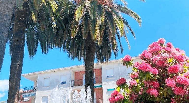Family-friendly nice rental apartment with terrace | Dogs allowed — photo 4