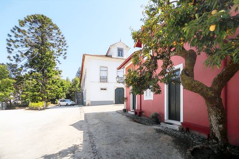 Quarto (B&B) Anadia