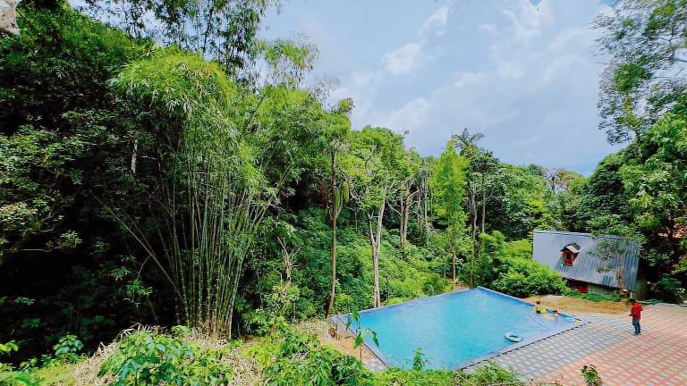 Forestvalley Holidays Coorg — photo 3