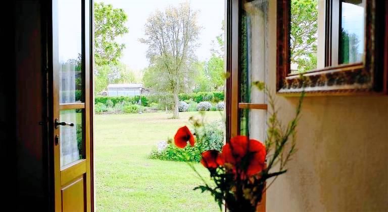 Canto De' Bacci — photo 3