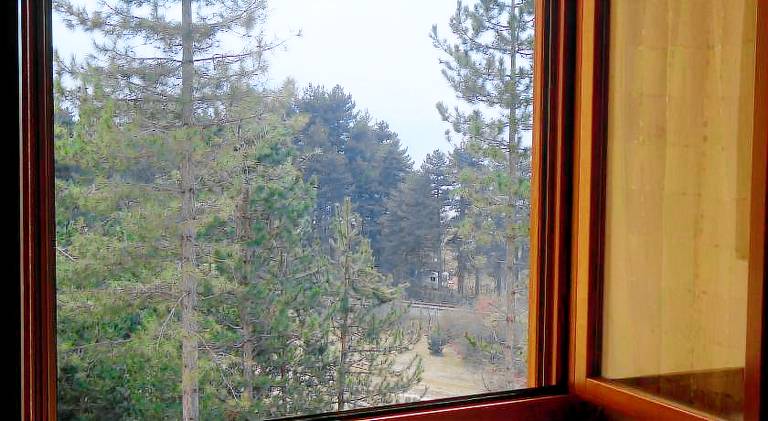 Pleasant rental apartment | Pets are welcome — photo 5