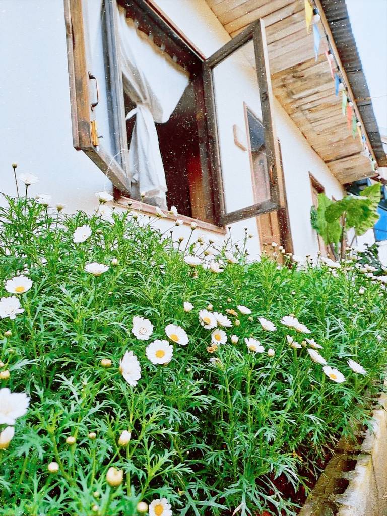 House with garden & grill | Perfect for remote work | Dogs allowed in Da Lat