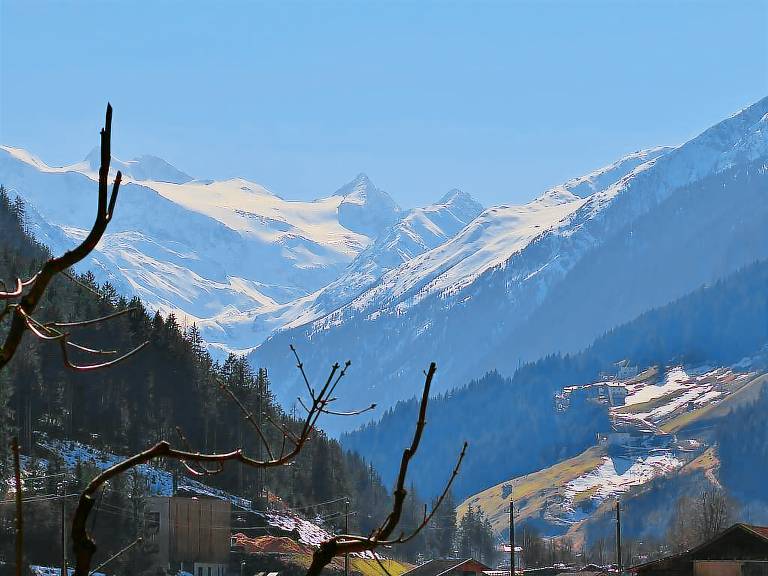 foto2