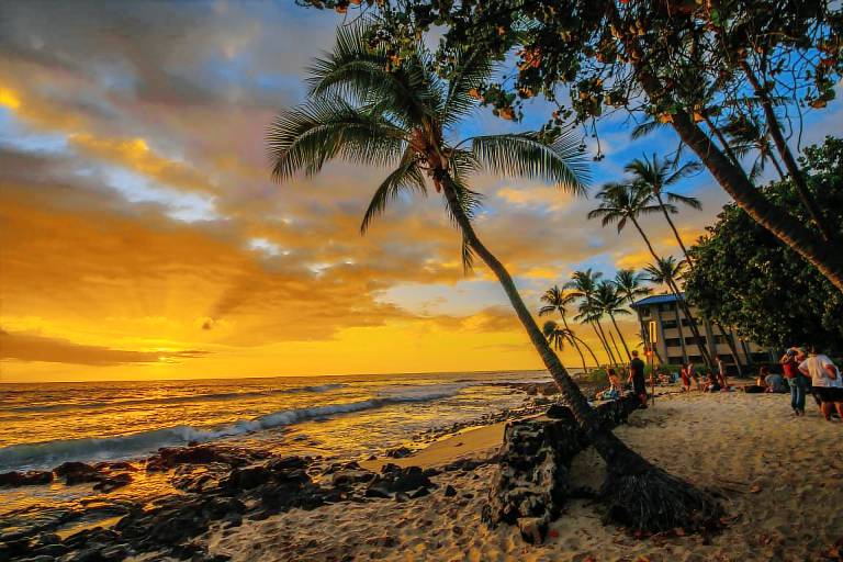 House  Holualoa