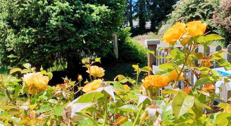 Rental apartment with 1 room for 2 persons in Brookings, OR